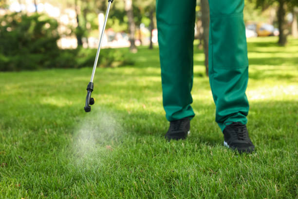 Best Mosquito Control Services  in North Valley, NM