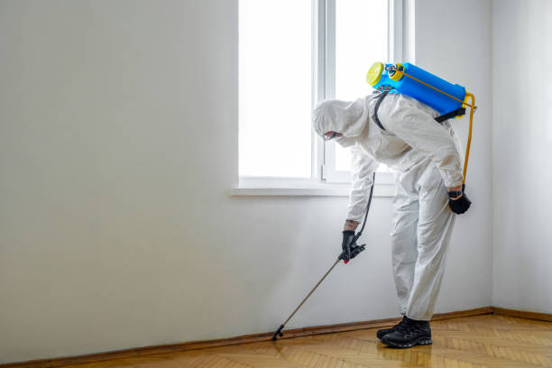 Best Pest Removal Services  in North Valley, NM