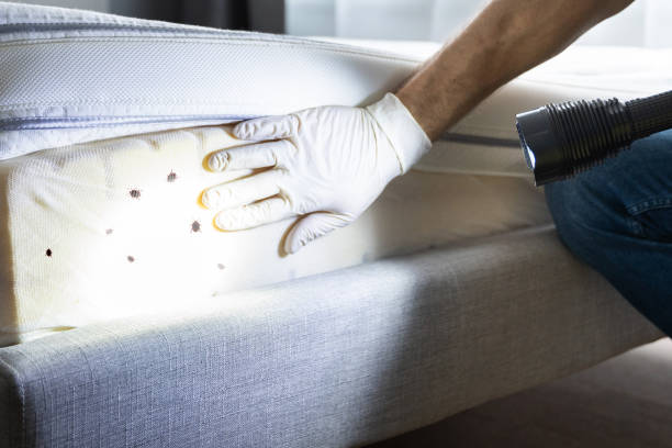 Best Commercial Pest Control Services  in North Valley, NM
