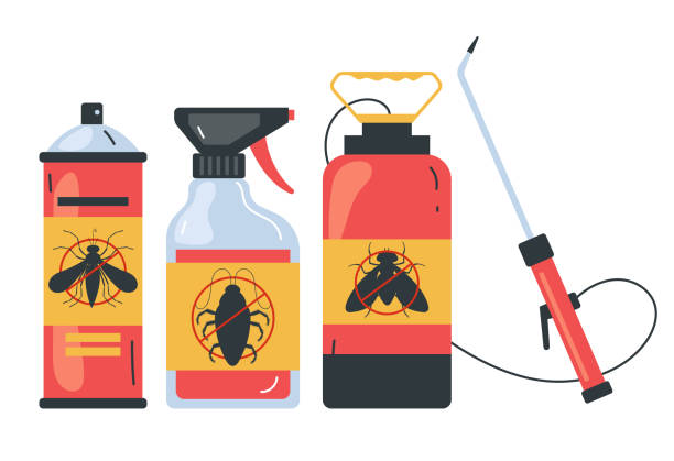 Best Flea Control Services  in North Valley, NM