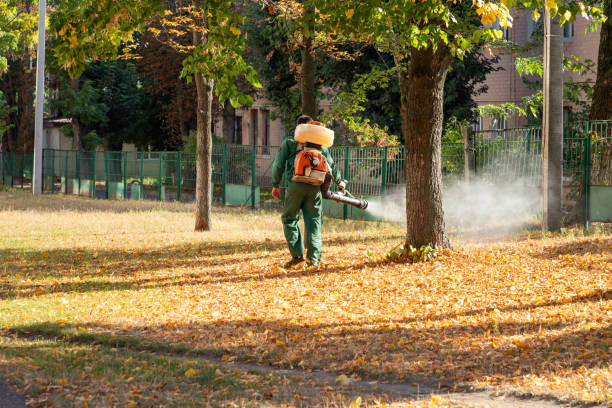 Wildlife Control Services in North Valley, NM