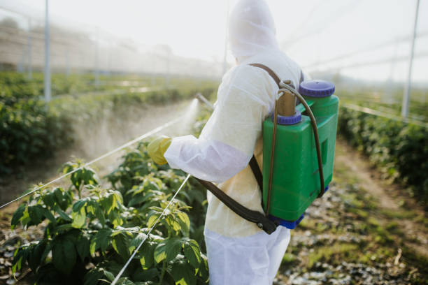 Best Emergency Pest Control  in North Valley, NM
